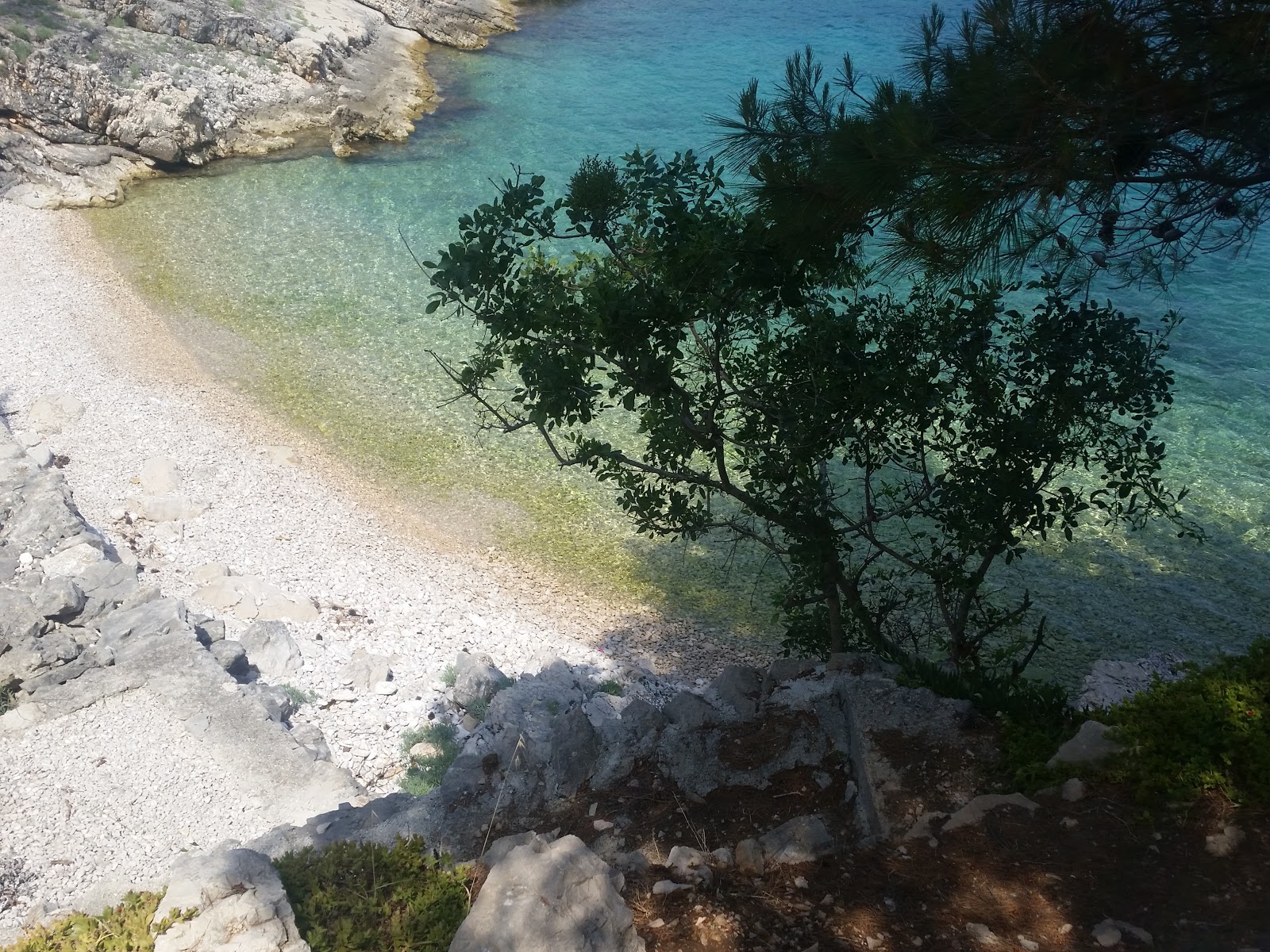 Foto de Mala Zaraca beach con agua cristalina superficie