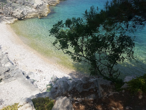 Mala Zaraca beach photo #2