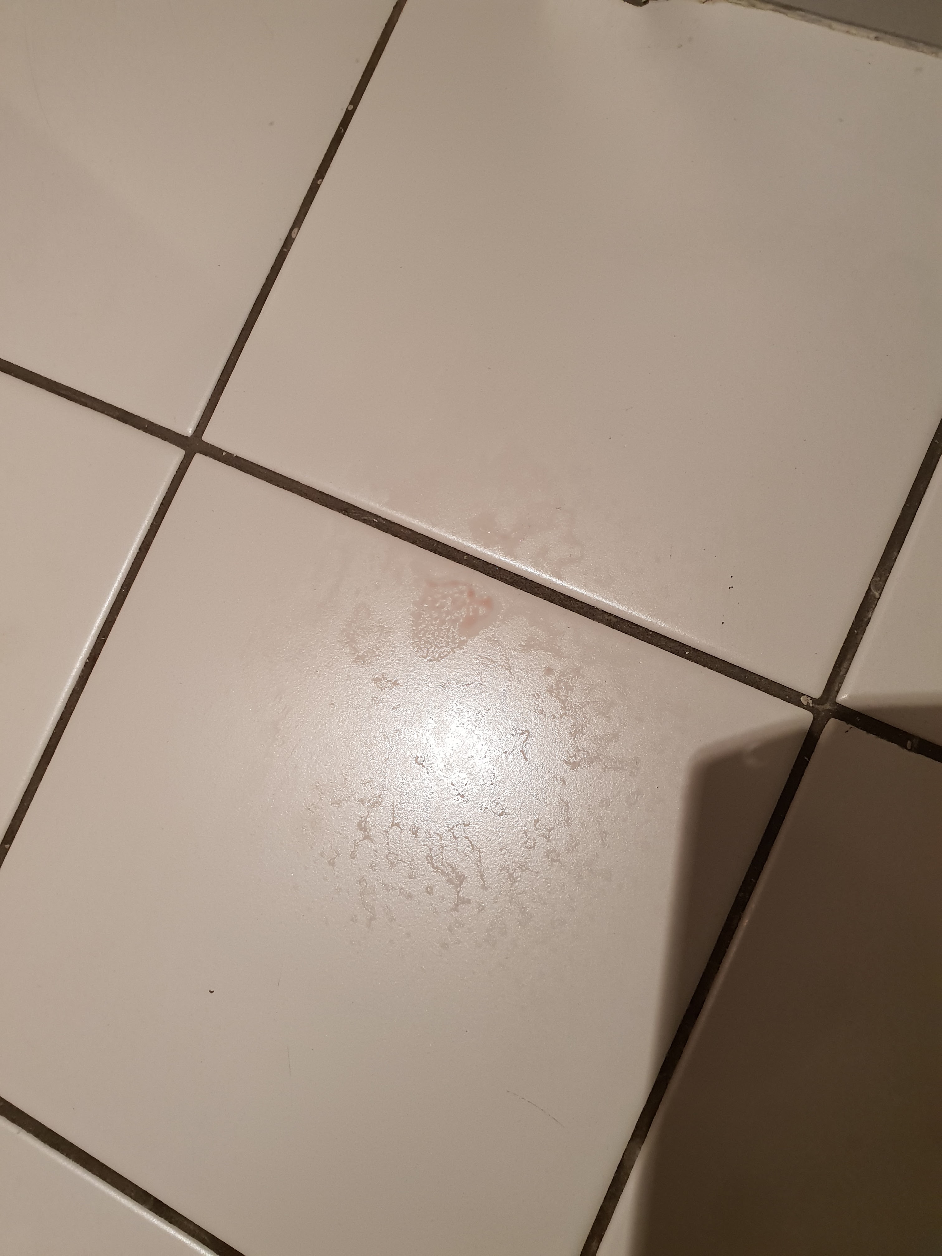 Photo n° 3 de l'avis de François.' fait le 24/06/2022 à 18:46