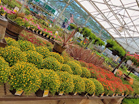 Lowe's Garden Center - Photo 3 - Car repair in Las Vegas, NV, Henderson