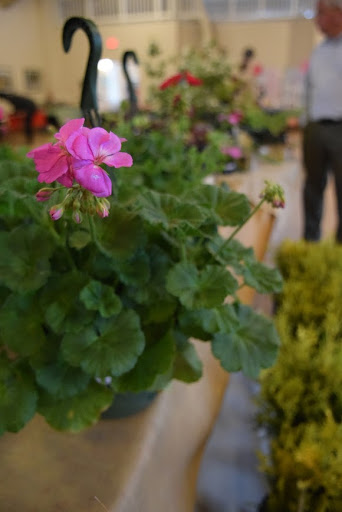 Community Center «Clarkston Community Center», reviews and photos, 3701 College Ave, Clarkston, GA 30021, USA