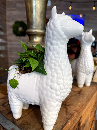 Florist «Genesee Florist», reviews and photos, 7756 Starling Dr, San Diego, CA 92123, USA