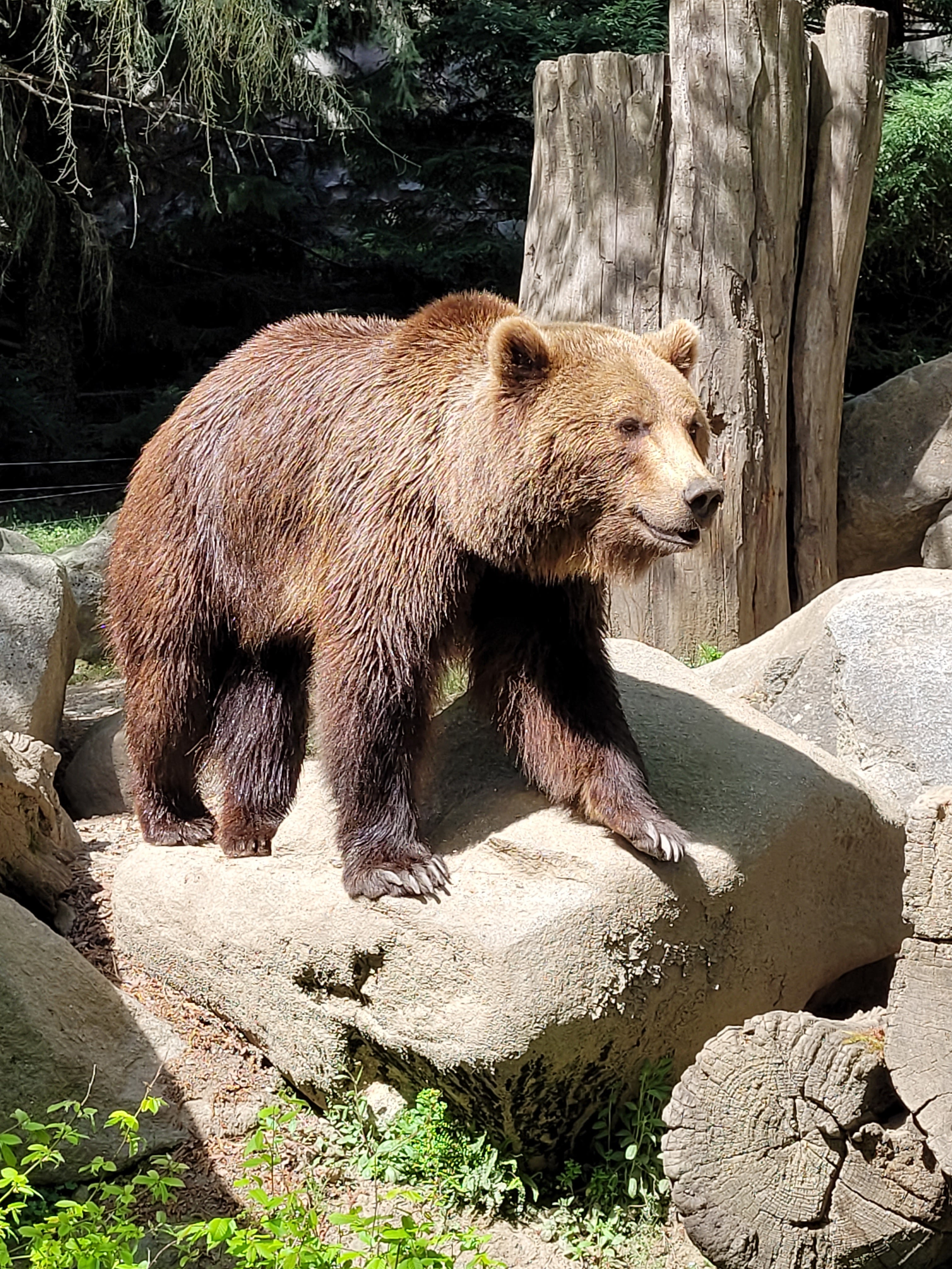 Photo n° 2 de l'avis de krystalita.t fait le 06/05/2023 à 15:24