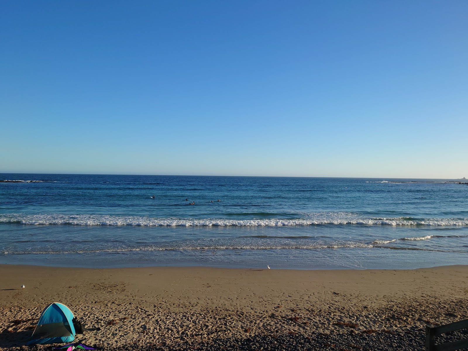 Foto van YCW Beach met turquoise puur water oppervlakte