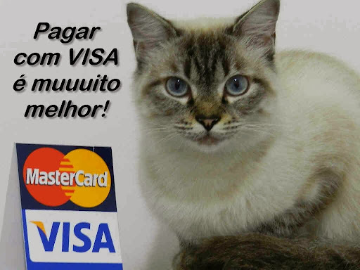 Veterinary Clinic Animals & Muzzles em São Paulo - SP