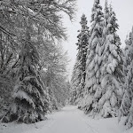 Photo n° 1 de l'avis de Sandra.e fait le 22/01/2023 à 21:01 pour Foyer d'Activité Rural de Bonnefond à Bonnefond