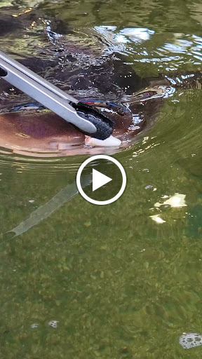 Aquarium «St. Augustine Aquarium», reviews and photos, 2045 FL-16, St Augustine, FL 32084, USA