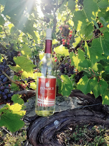 Winery «Penoach Vineyard and Winery», reviews and photos, 26759 N Avenue, Adel, IA 50003, USA