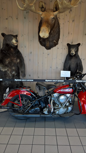 Harley-Davidson Dealer «Big Moose Harley-Davidson», reviews and photos, 375 Riverside St, Portland, ME 04103, USA