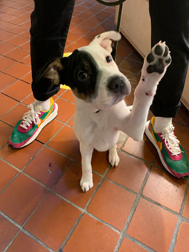 Gift Shop «Ugly Baby and La Ru», reviews and photos, 1430 Western Ave, Seattle, WA 98101, USA