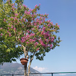 Photo n°3 de l'avis de Wioleta.u fait le 23/08/2020 à 08:35 sur le  Ristorante Hotel Punta dell'Est à Clusane