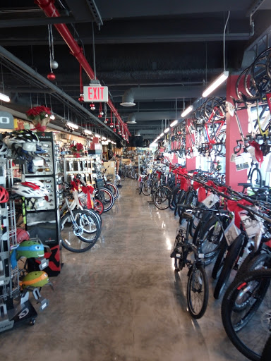 Bicycle Store «Miami Beach Bicycle Center», reviews and photos, 746 5th St, Miami Beach, FL 33139, USA