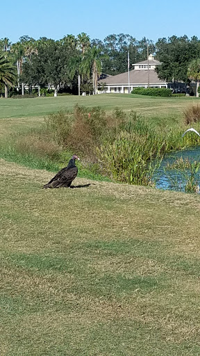 Country Club «Ridgewood Lakes Golf & Country Club», reviews and photos, 200 Eagle Ridge Dr, Davenport, FL 33837, USA