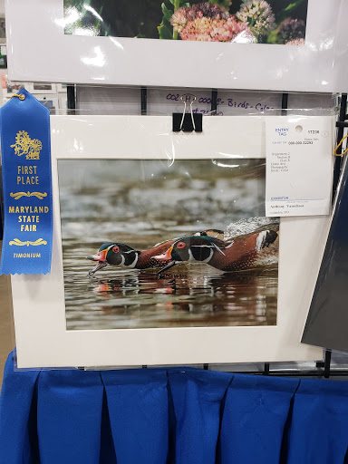 Drug Store «CVS», reviews and photos, 3300 Centennial Ln, Ellicott City, MD 21042, USA