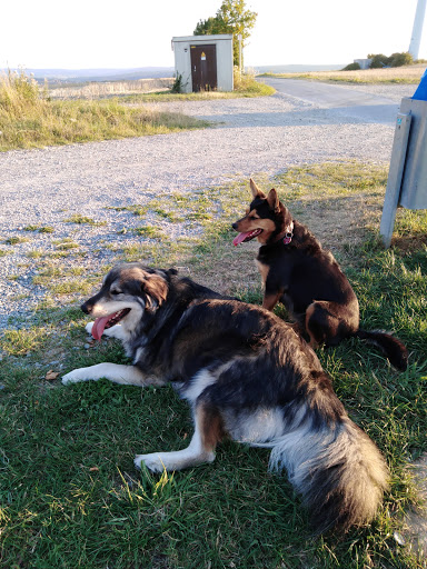 Tierarztpraxis an der Rosenau unter Bad Sassendorf, Nordrhein-Westfalen