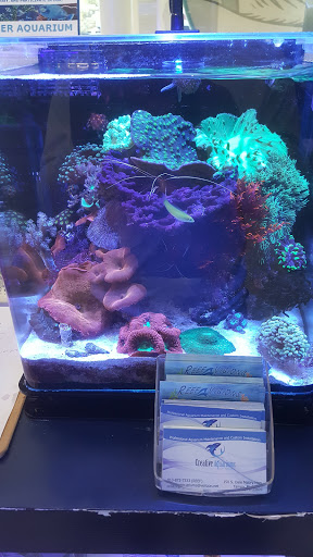 Pet Store «Creative Aquariums of Tampa», reviews and photos, 150 S Dale Mabry Hwy, Tampa, FL 33609, USA