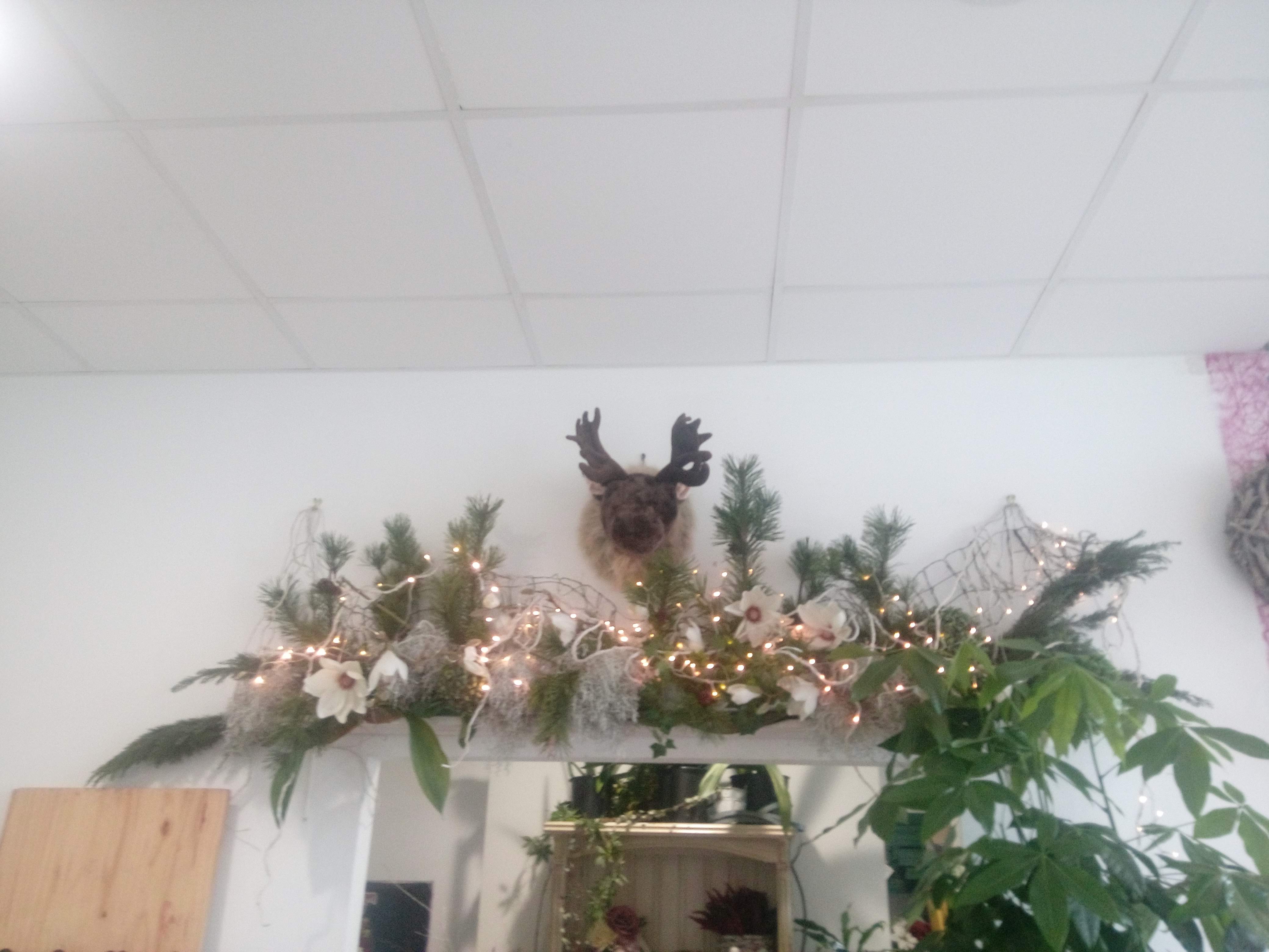 Photo n° 6 de l'avis de Michèle.R fait le 27/12/2018 à 05:36
