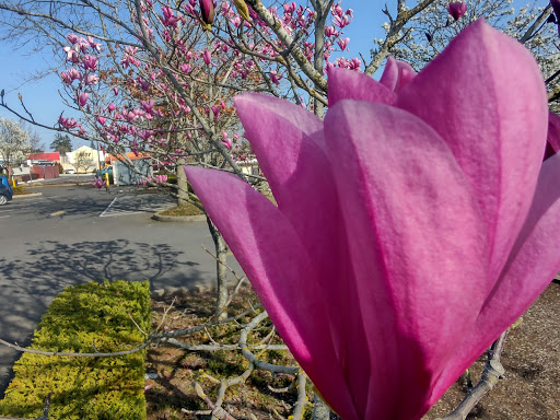 Credit Union «Unitus Community Credit Union», reviews and photos