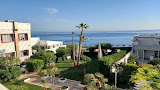 Photo hôtels Hotel Salsello 76011 Bisceglie (miniature)