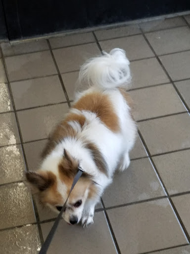 Pet Supply Store «Pet Supplies Plus», reviews and photos, 7954 Brewerton Rd #400, Cicero, NY 13039, USA