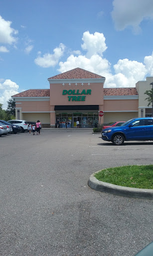Dollar Store «Dollar Tree», reviews and photos, 843 Harley Strickland Blvd b, Orange City, FL 32763, USA