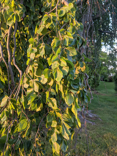 Park «Hewlett Point Park», reviews and photos, 130 Hewlett Point Ave, East Rockaway, NY 11518, USA