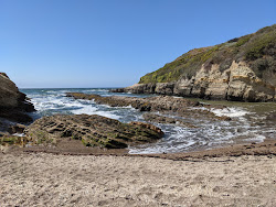 Spooner's Cove Beach'in fotoğrafı doğal alan içinde bulunmaktadır