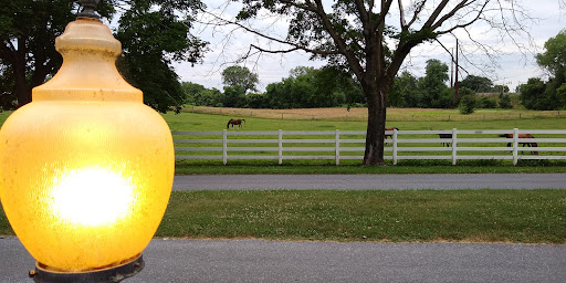 Miniature Golf Course «Challenge Family Fun Center», reviews and photos, 366 Middletown Rd, Hummelstown, PA 17036, USA