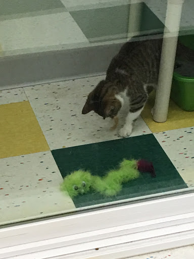 Pet Supply Store «Pet Supplies Plus», reviews and photos, 2100 W Grand River Ave, Okemos, MI 48864, USA