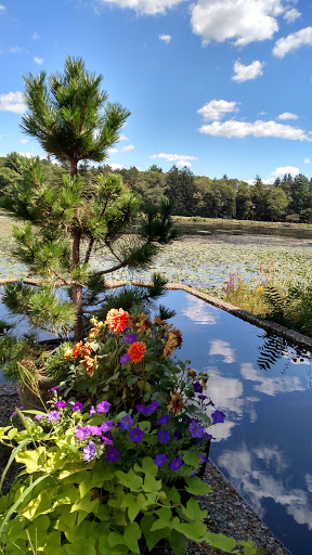 Museum «Fuller Craft Museum», reviews and photos, 455 Oak St, Brockton, MA 02301, USA