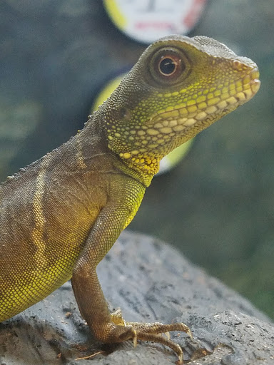 Pet Supply Store «Petco Animal Supplies», reviews and photos, 1465 Woodbury Ave, Portsmouth, NH 03801, USA