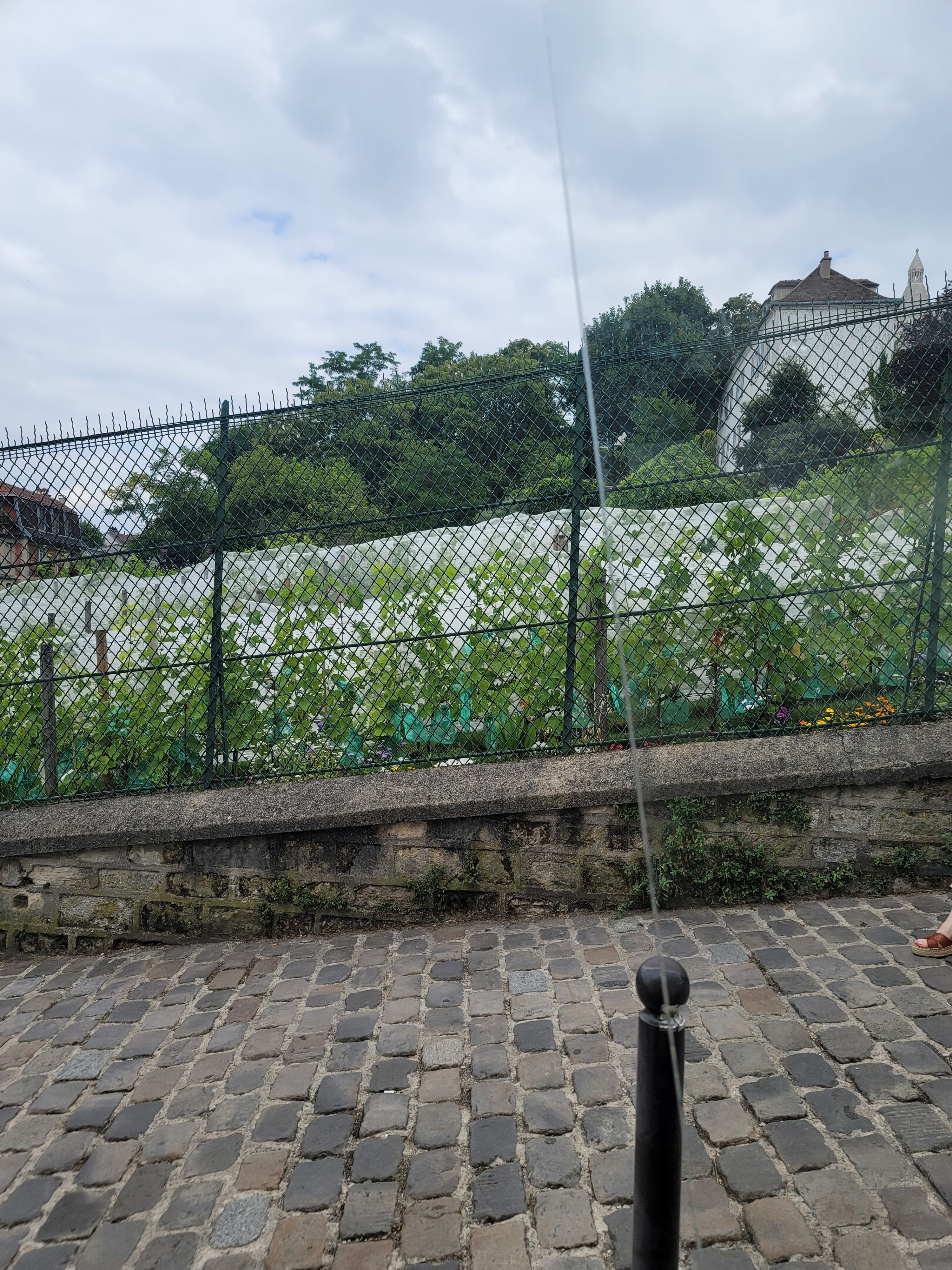 Photo n° 9 de l'avis de Kyung.. fait le 22/07/2022 à 18:01