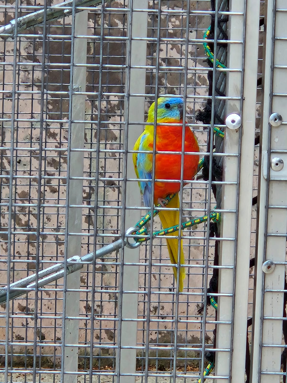 Photo n° 7 de l'avis de Chris. fait le 05/08/2023 à 05:18