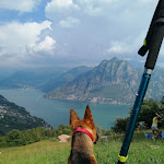 Photo n°8 de l'avis de Massimo.a fait le 23/09/2021 à 19:07 sur le  Albergo Morandi à Fiumenero
