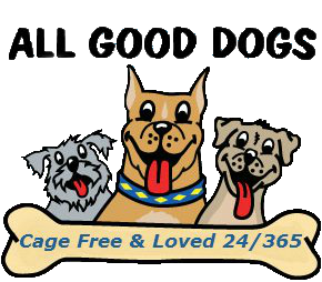 All Good Dogs Daycare