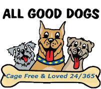 All Good Dogs Daycare - Photo 2 - Car repair in Monmouth Junction, NJ, Trenton