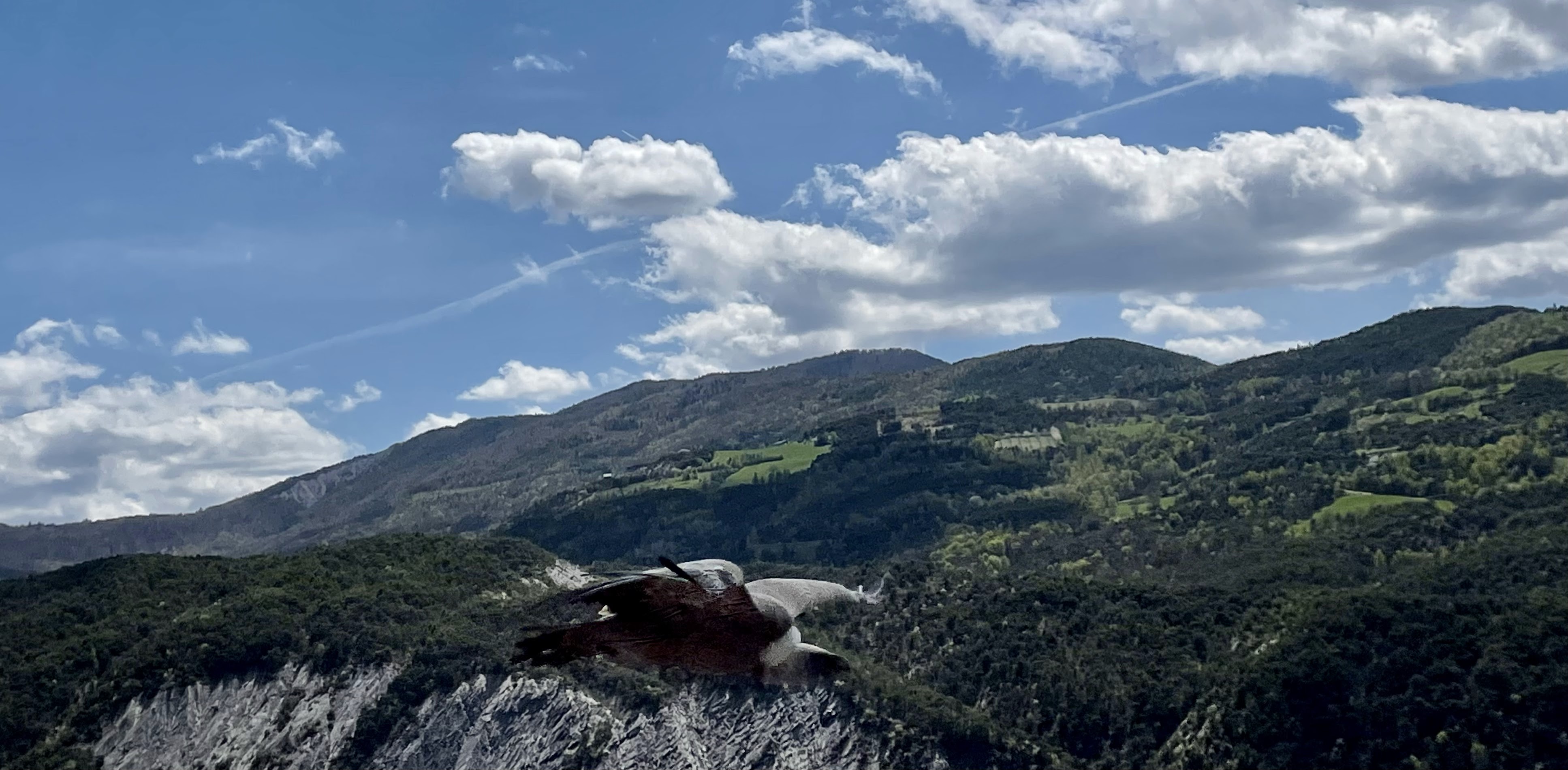 Photo n° 9 de l'avis de Anthony.a fait le 26/04/2022 à 14:57