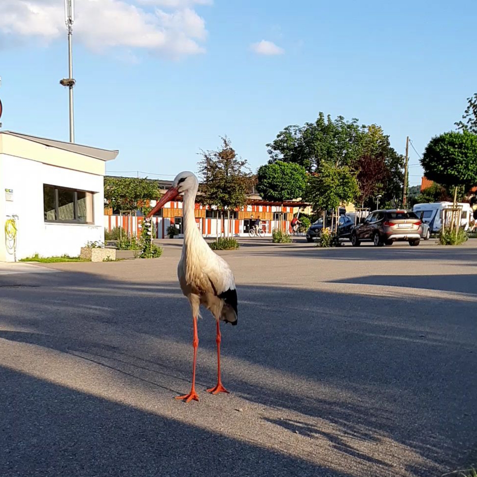 Photo n° 1 de l'avis de Geo. fait le 16/06/2019 à 18:48
