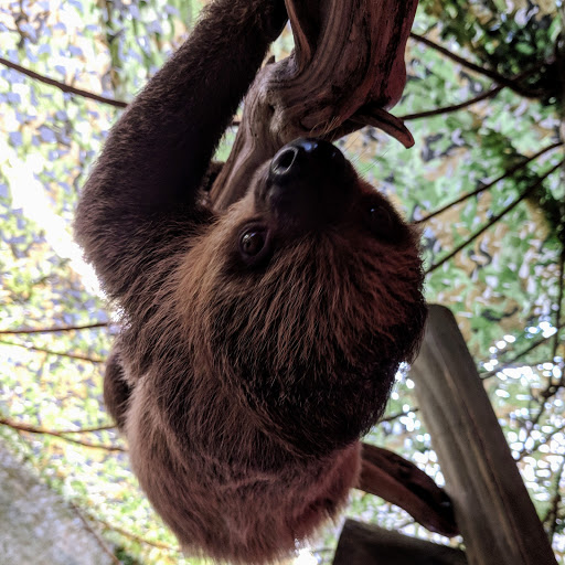 Pet Store «Lost Realms Pets», reviews and photos, 8059 N Cedar Ave, Fresno, CA 93720, USA