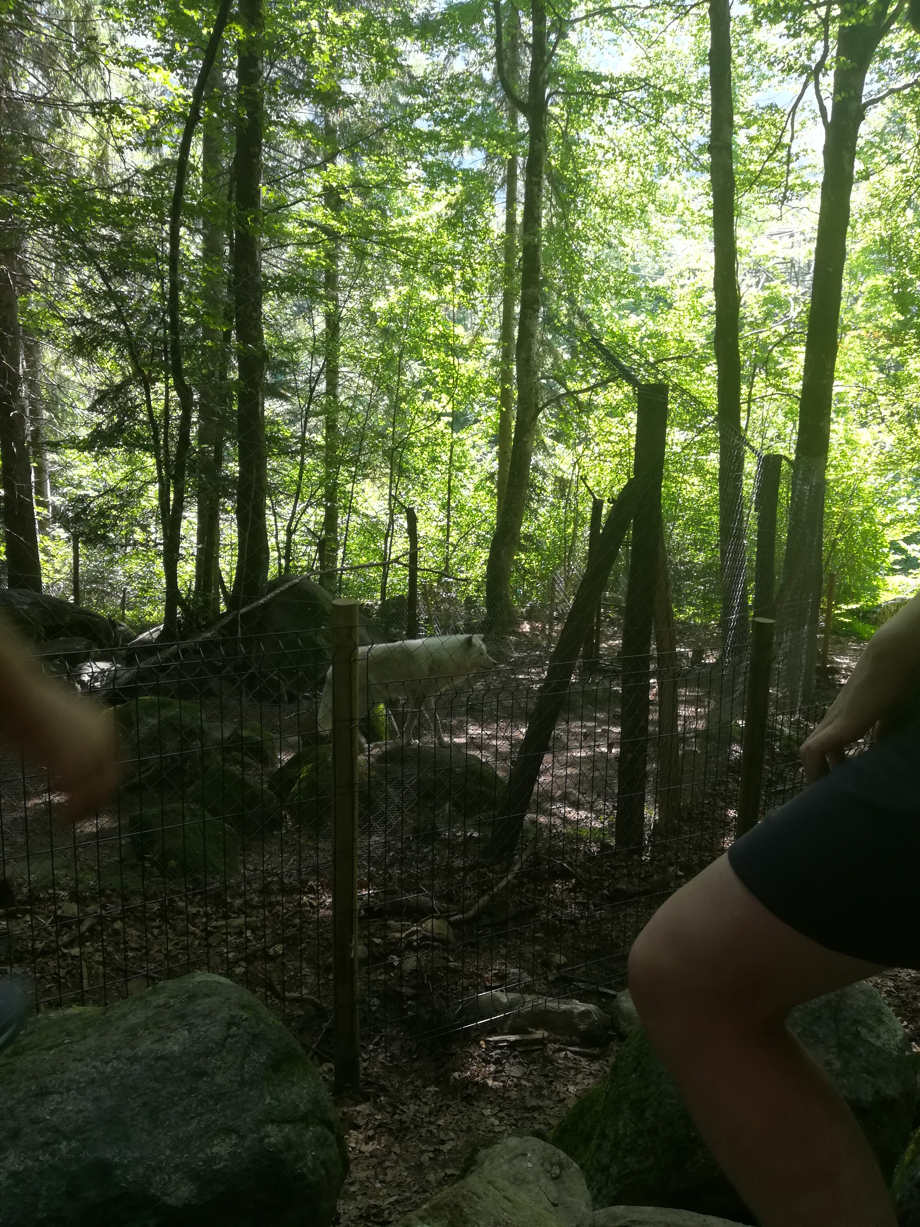 Photo n° 11 de l'avis de Audrey.� fait le 28/07/2017 à 17:11