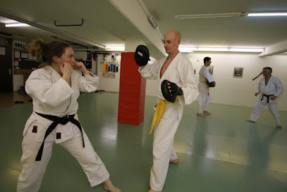 Ju-Jitsu St. Gallen | Budo Yoshin Ryu