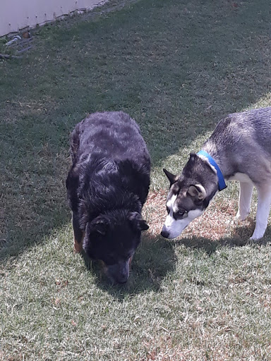 Boxing Gym «Katy Boxing Club», reviews and photos, 18703 W Little York Rd suite 102, Katy, TX 77449, USA