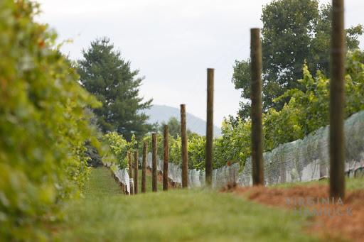 Winery «Glass House Winery», reviews and photos, 5898 Free Union Rd, Free Union, VA 22940, USA