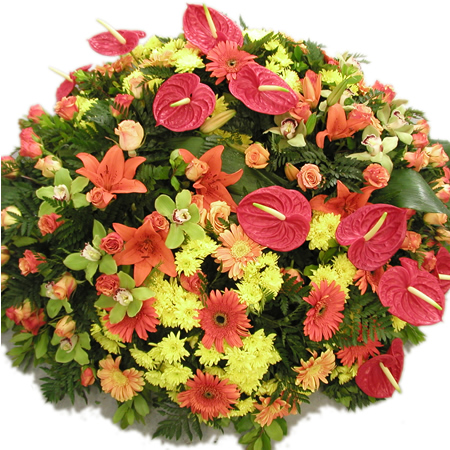 Comentários e avaliações sobre o Florista WebFlor Flores Portugal