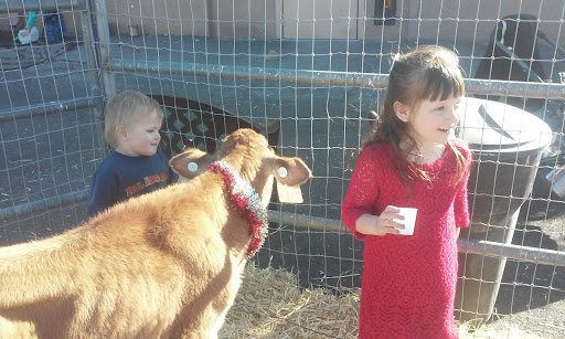 Pet Store «CUSTOM CREATURES PET SHOP», reviews and photos, 10727 N 19th Ave, Phoenix, AZ 85029, USA