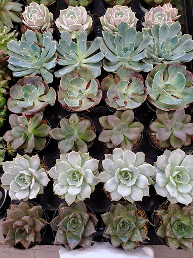 Home Improvement Store «The Home Depot», reviews and photos, 3500 W MacArthur Blvd, Santa Ana, CA 92704, USA