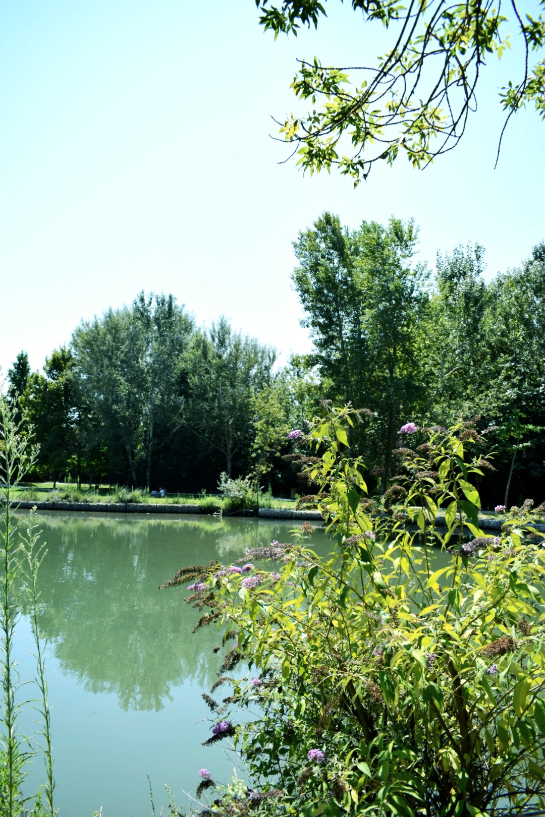 Photo n° 6 de l'avis de Zaza.e fait le 19/08/2021 à 16:53