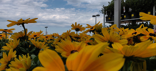 Home Improvement Store «The Home Depot», reviews and photos, 551 President Pl, Smyrna, TN 37167, USA