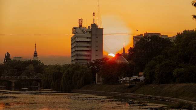 Politia Rutiera Oradea - Serviciu de Paza