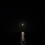 Photo n°6 de l'avis de Simone.r fait le 26/08/2023 à 22:13 sur le  Buena Onda Focene à Fiumicino